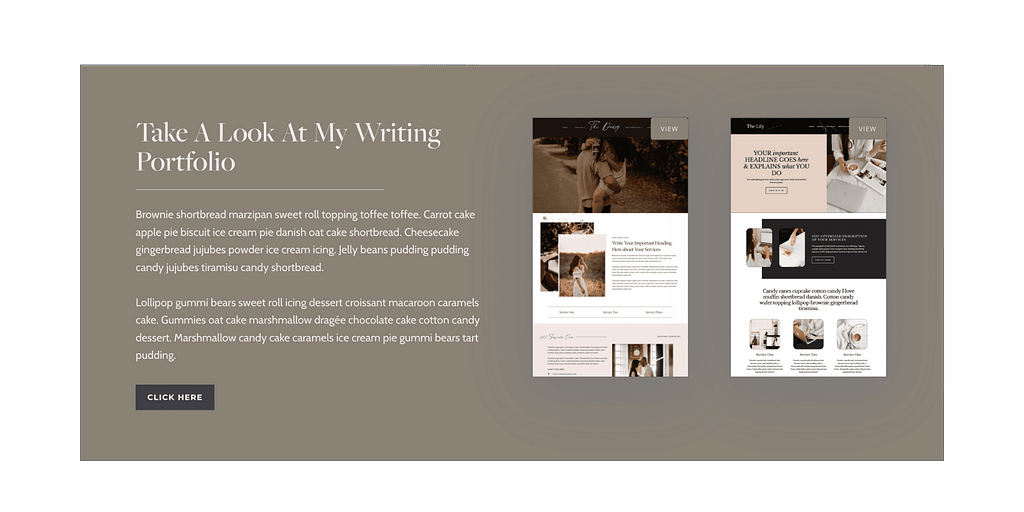 Portfolio WordPress Website Design 